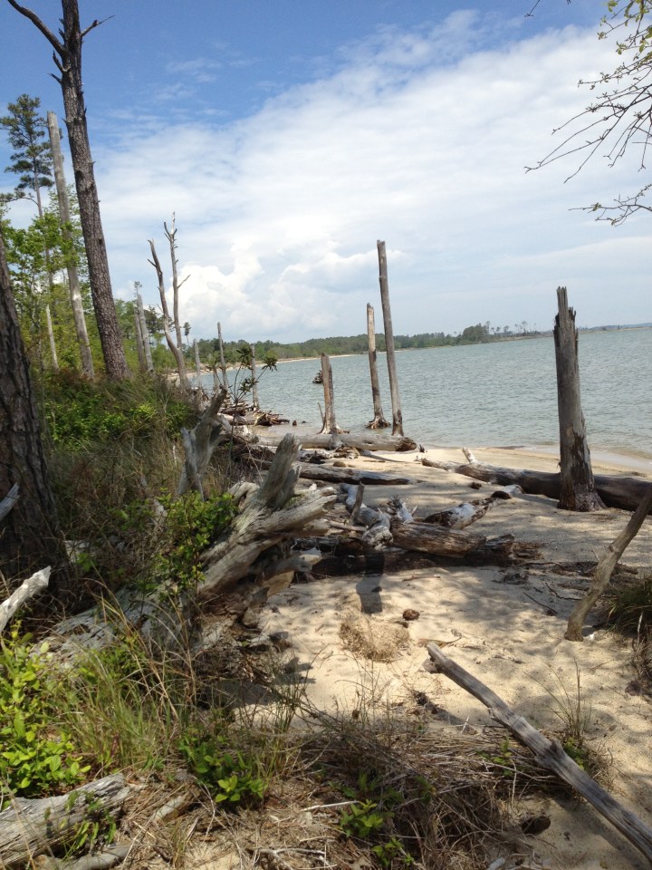 where we had our picnic